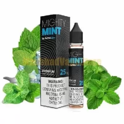 سالت نیکوتین ویگاد نعناع خنکVGOD MIGHTY MINT